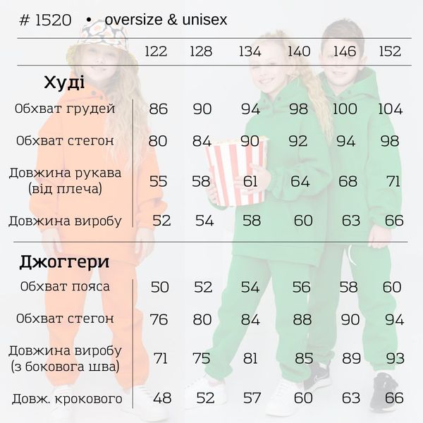 Спортивный костюм детский с капюшоном для мальчика утепленный с начесом 1520-3-kairo фото