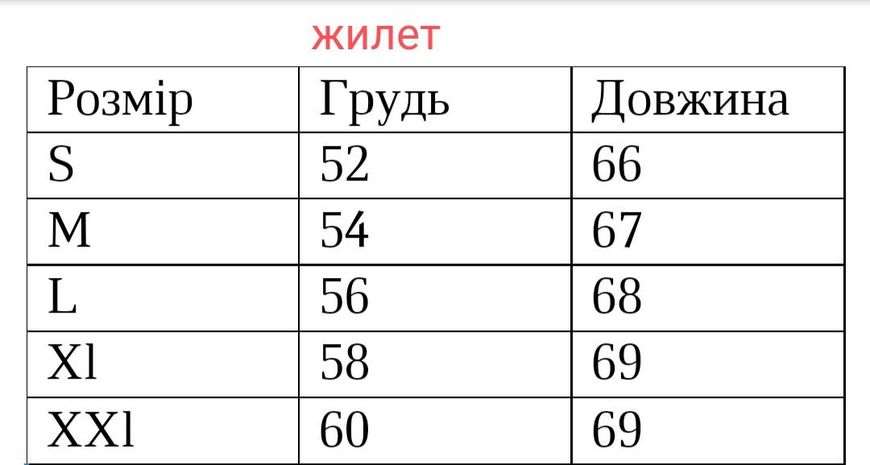 Жилетка безрукавка мужская, жилет без капюшона черный 771044 фото