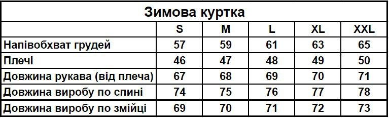 Куртка зимова чоловіча з капюшоном і гербом України плащівка чорна RD274 фото